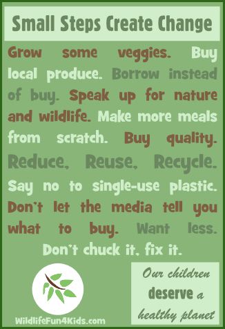 short paragraph on save environment for kids